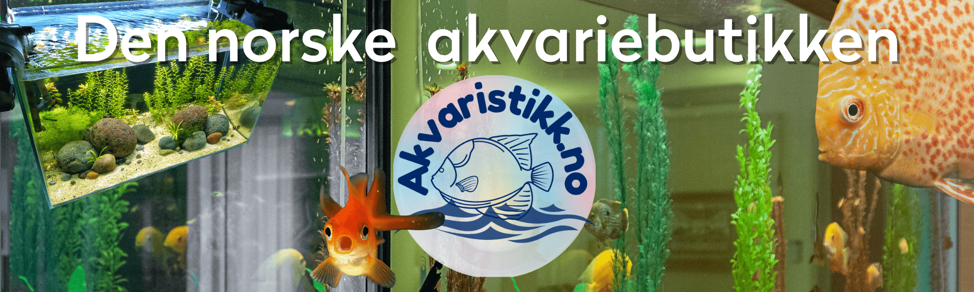 Akvaristikk.no