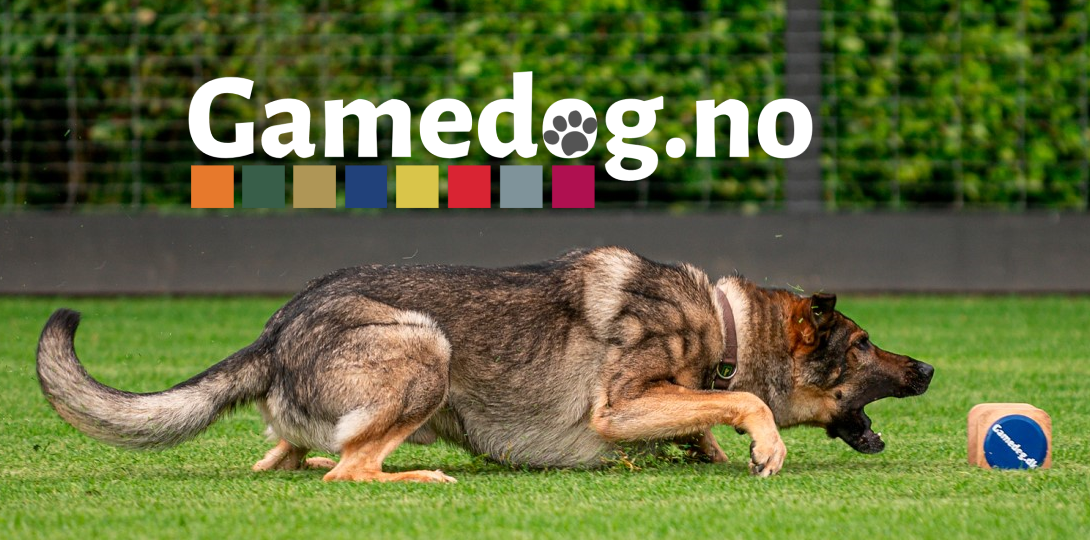 Hundefôr og hundemat på nett​