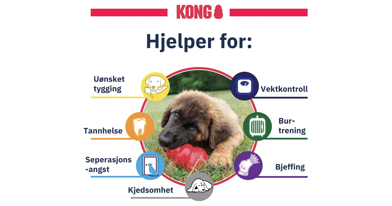 Kong