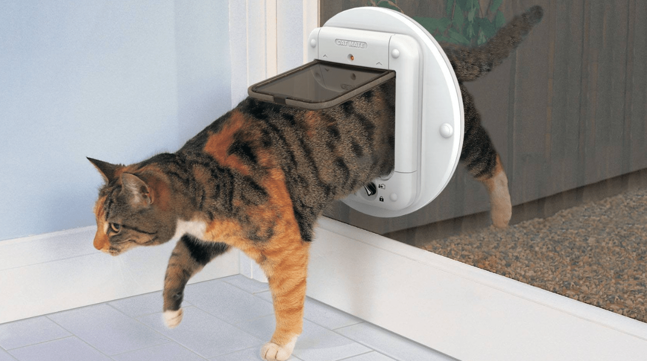 Katteluke