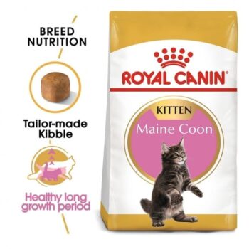 Royal Canin Maine Coon Kitten - 10 kg