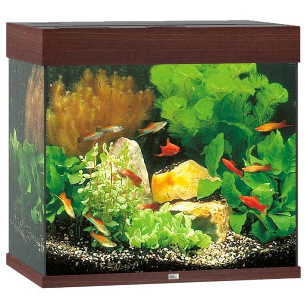 Juwel Akvarium LED Lido 120 61x41x58cm 120L