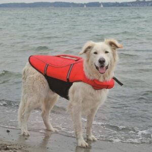 Ozami flytevest hund