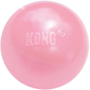 kong puppy ball hundeleke valpeleke