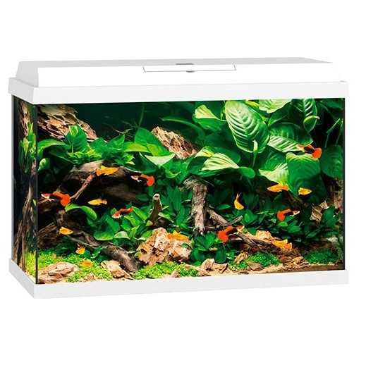 Juwel akvarium Primo 70ltr 61x31x44cm