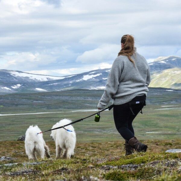 Baggen Softbelt Race X2 grå