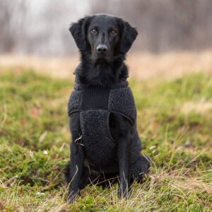 Canelana Ambassadør ulldekken