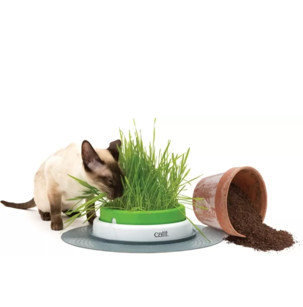 Catit Senses Grass Planter Kattegress-stasjon.png