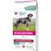 Eukanuba Adult Daily Care Mono-Protein Salmon