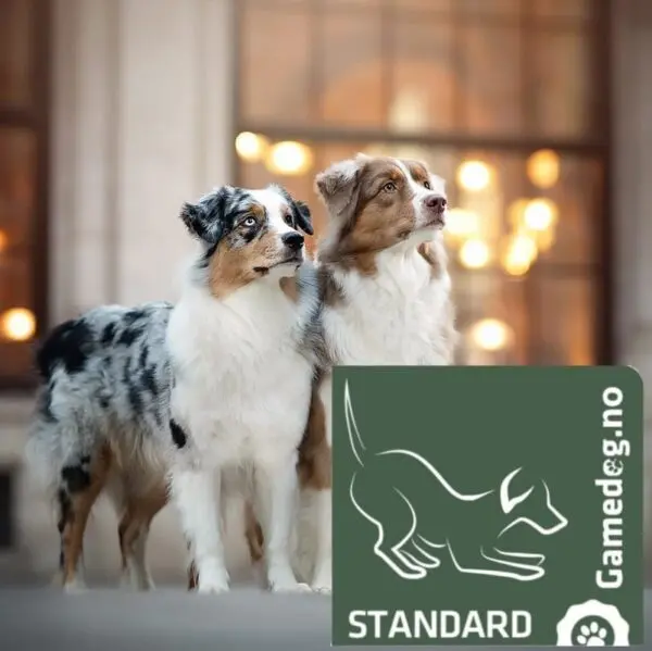 Gamedog.no, standard