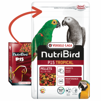 Nutribird p15 tropical prestige 10kg 