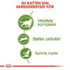 Royal Canin Outdoor 7+