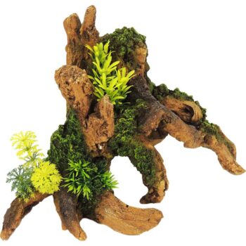 brown-driftwood-with-plants-284x183x212mm.jpg