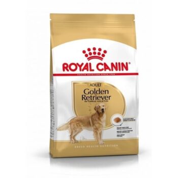 RC Golden Retriever 25 Adult 12kg