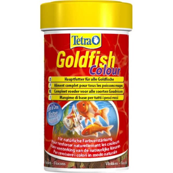 Tetra Goldfish Colour