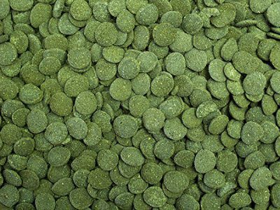 Tropical Algae Wafers