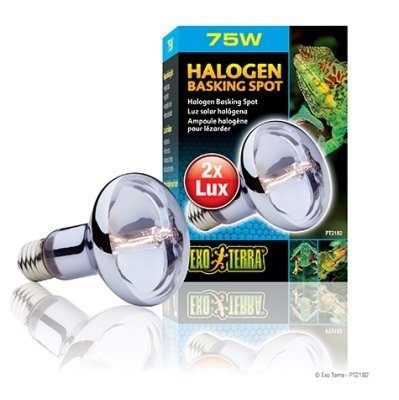 Sun-Glo Halogen Exoterra