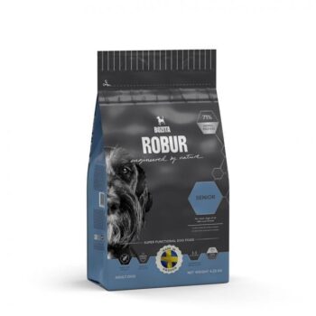Robur senior