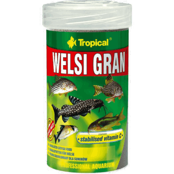 Tropical Welsi Gran