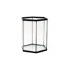 6 kantet glassakvarium høy modell