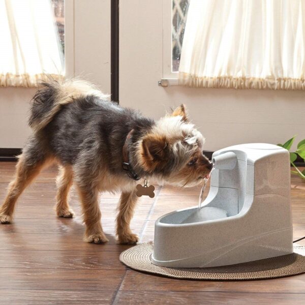 Petsafe drinkwell drikkefontene mini