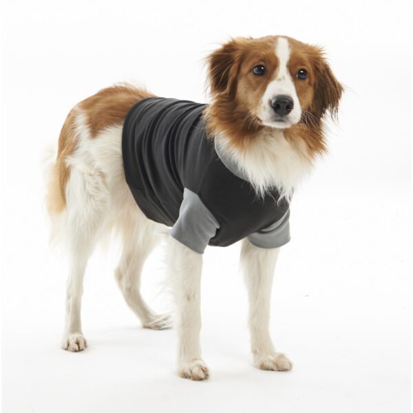 BUSTER Body Suit Classic til hund