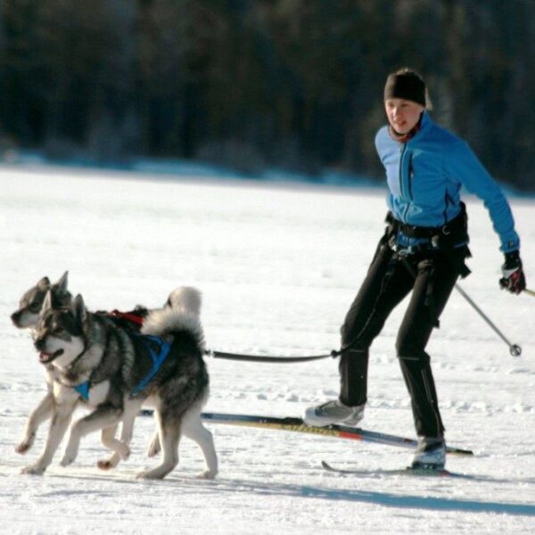 Baggen Softbelt Race X2 grå