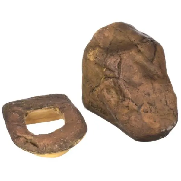 Exo Terra Canopy Worm Dish