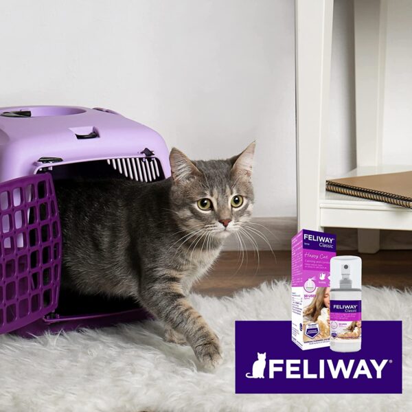 Feliway Classic Spray