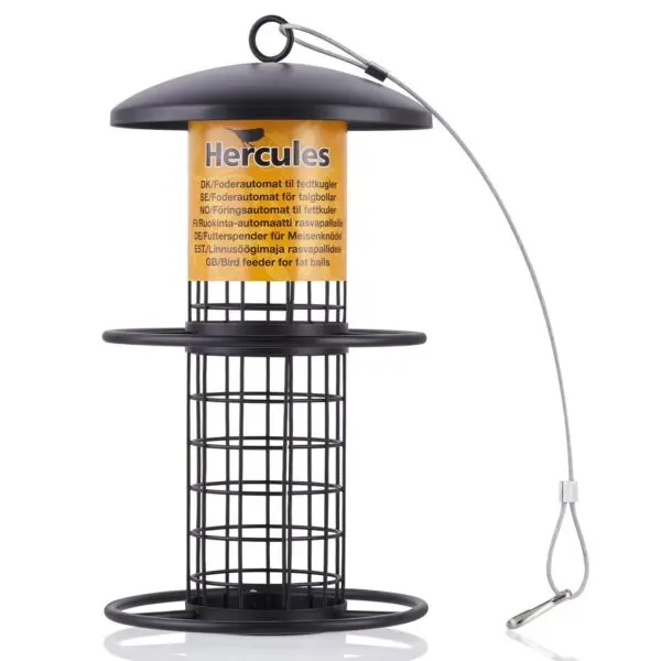 Fugleforautomat til meiseboller med vaier