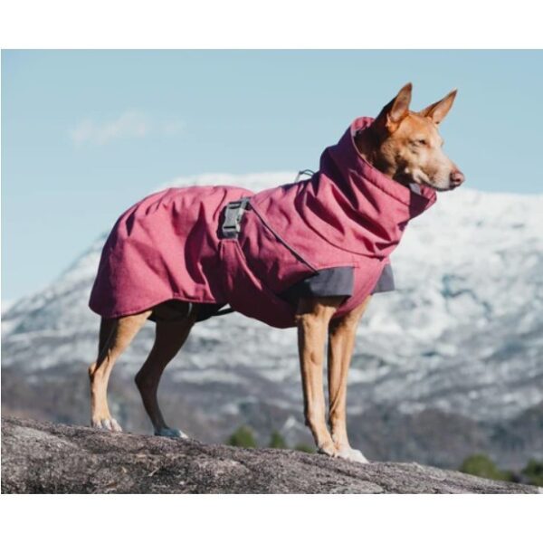 Hurtta Expedition Parkas Vinterdekken Hund