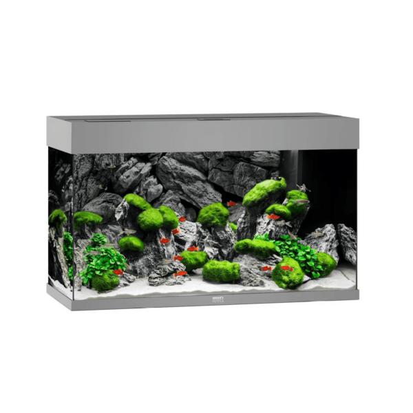 Juwel Akvarium LED Rio 125