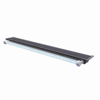 Juwel Multilux LED