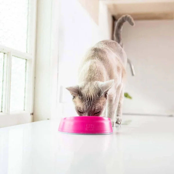 Lickimat OH Bowl katteskål-munnhygiene