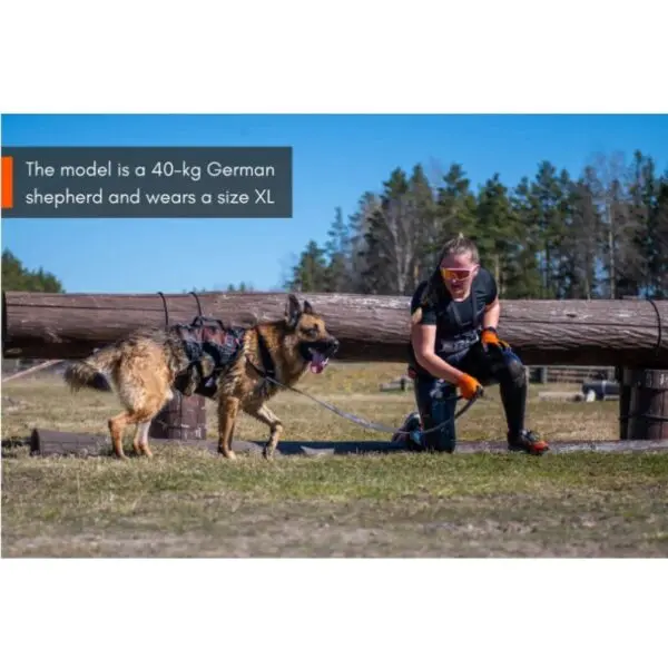 Non-Stop Dogwear Rock Harness Long - Multifunksjonell Hundesele
