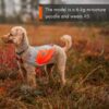 Non-Stop Dogwear Refleksdekken Refleksvest Hund