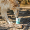 Norsk Dyrehelse Glukosamin Kosttilskudd Hund 250 g