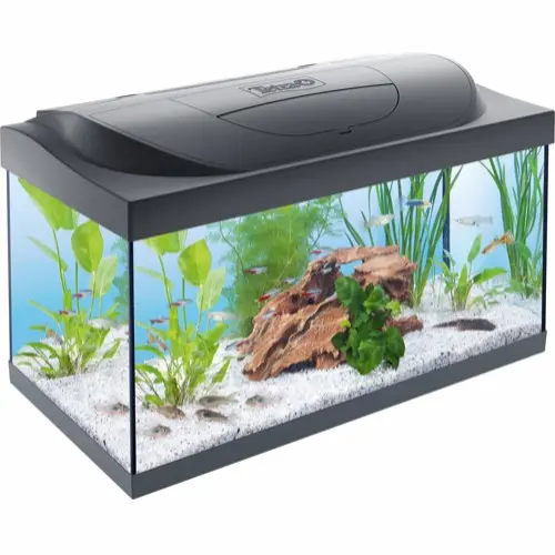 Tetra startersett akvarium 54L