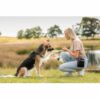 Trixie Treat Bag Godbitveske til hundetrening