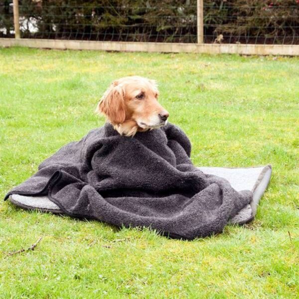 Canelana Hundeponcho / Hundepledd i Ull